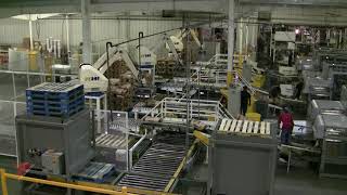 Fuji Bag Robotic Palletizing Showcase | FUJI ROBOTICS INDIA | #roboticpalletizer #fujirobotics