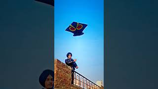 Black beast patang flight #patang #kite #youtubeshorts