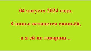 04 августа 2024 года. Свинья останется свиньёй, а я ей не товарищ...