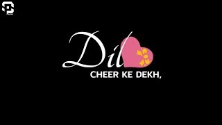 Dil Cheer Ke Dekh (Rang) Deepak Adhikari Ft. Meneka Singh [Whatsapp Status] SP Creations