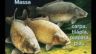 massa para piapara, tilápia, piau e carpa