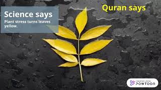 Plant Stress In Quran.