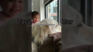 Dog And Baby  #dogsandbabies #englishcreamgoldenretriever #babiesoftiktok #toddlersoftiktok #PlutoTV