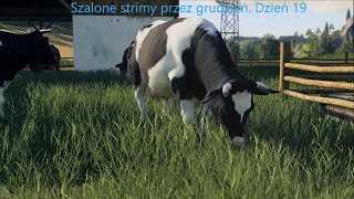 Szalone strimy przez grudzień. Dzień 19