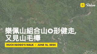 樂佩山組合山O形健走,又見山毛櫸,軌跡-FP226,2