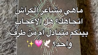 ماهي مشاعر الكراش اتجاهك؟ هل هناك اعجاب متبادل بينكم ام من طرف واحد؟🕊️💗✨