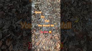 #cover #lyrics #fall #foryou  🍁🍂🎃