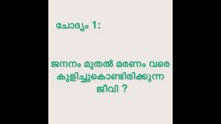 കുസൃതി ചോദ്യങ്ങളും ഉത്തരങ്ങളും