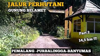 Jalan hutan penghubung tiga kabupaten ‼️ Purbalingga Jawa Tengah