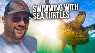 Swimming with Sea Turtles at Ha'ena Beach (Shipman) | Big Island