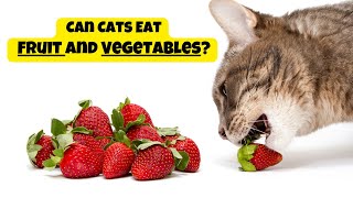 Can Cats Eat Fruit And Vegetables? The Answer Might Surprise You!