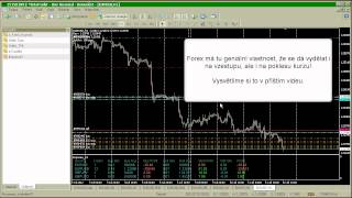 forex z 01