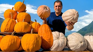 The Most Authentic Pumpkin Pilaf You’ll Ever Taste! 🍚