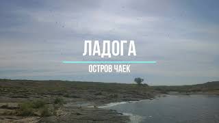 Ладога, остров Чаек