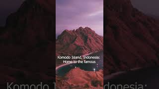 "Discovering the Wonders of Komodo Island Pink Beaches, Majestic komodo Dragons, and Marine Marvels"