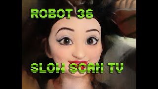 0065 Toonify SSTV Robot36