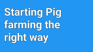 How to Start Pig Farming the Right Way #pigfarming