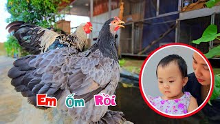 Gửi Hết Thú Cưng Ở Nhà Phải Đi Gấp Vì Em B..é Ốm Rồi / Quế Nghịch