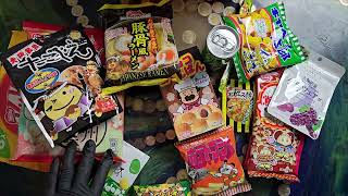 Osaka Snackation - Tokyo Treat Box June 2023 ASMR Unboxing