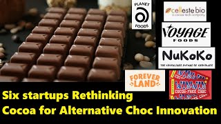 6 Startups Rethinking Cocoa for Alternative Chocolate Innovation