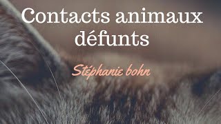 contacts animaux défunts