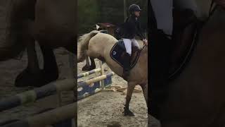 Horse riding - C.S.O #christmas #shorts #reels #tiktok #horse #competition #horseriding #cheval #sia