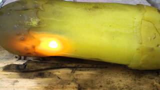 Pickle science experiment - 120 Volts AC fries a pickle