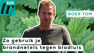 Bladluis bestrijden met brandnetel - Libelle Boer Tom