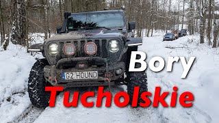 Bory Tucholskie z Przygody4x4.pl