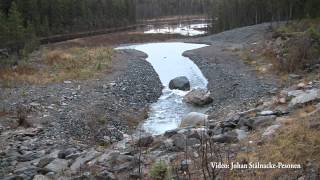 Tömning av Leveäniemi dagbrott - nu 550 liter i sekunden.