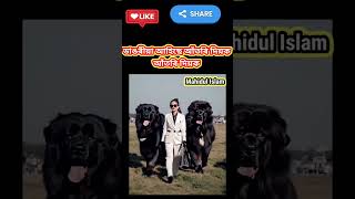 Dogs lovers #dog #dogshorts Stallion Bharat Ratan #marwarihorse