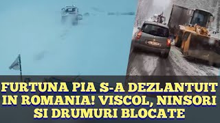 Furtuna PIA s-a dezlantuit in Romania! Copaci rupti, viscol, ninsoare si drumuri blocate