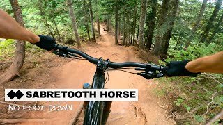 🐒 No Foot Down! Sabretooth Horse (full pull)