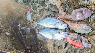 I Caught These Fish And Cook Them Well | Catch N Cook