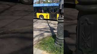 Маршрут 103 Буча-Синяк (Solaris Urbino III 12) #bus #shorts