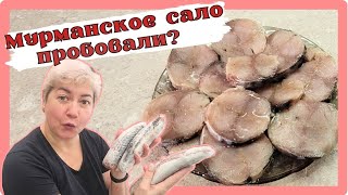 СКУМБРИЯ ВКУСНЕЕ СЁМГИ / ОТЛИЧНЫЙ РЕЦЕПТ СЛАБОСОЛЁНОЙ РЫБЫ / МУРМАНСКОЕ САЛО