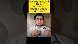 Грецкий орех похож на человеческий мозг, как думайте это совпадение ?🧑‍⚕️ #медицина #хирург