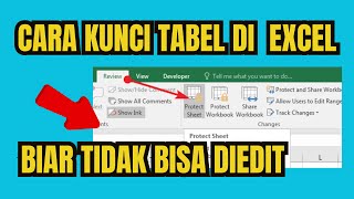 Tutorial Cara Kunci Tabel Excel Agar Tidak Bisa Diubah Dan Diedit