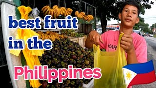 BACOLOD🇵🇭 - PHILIPPINES BEST FRUITS are now in season 2023