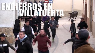 🐂 ENCIERROS EN VILLATUERTA (Navarra) 2022