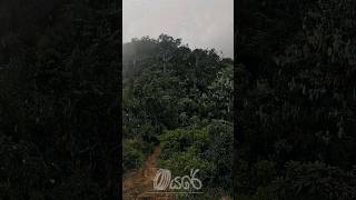 එතන හැංගිලාම තිබුනාවේ🥹#shortsviral #viralshort #trending #travelvlog #minivlog #nature #viralvideo