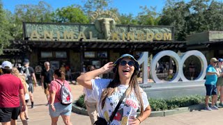 Um dia no Disney’s Animal Kingdom