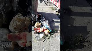 Gunoaiele alimentare aruncate in strada in plin soare sa raspandeasca hepatita si sa cheme sobolanii