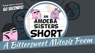 Mitosis Poem - Amoeba Sisters #Shorts