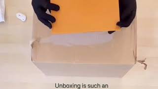 Unboxing the Louis Vuitton Nice Mini! 路易威登老花Nice迷你 化妆包盒子开箱!