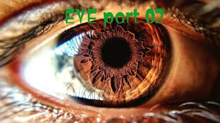 The Making of An Eye : Amazing Natural Architecture From Cosmos: A Spacetime Odyssey Part 02