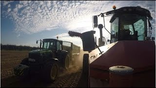 Onion Harvest 2016