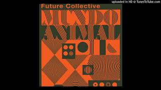 Future Collective - Fauna of Mirrors