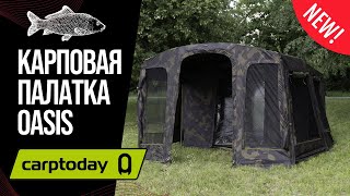 Обзор на карповую палатку CARPTODAY OASIS. Установка и основные характеристики. 2-х местная палатка