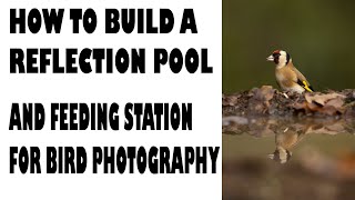 HOW TO BUILD A REFLECTION POOL AND FEEDING STATION FOR BIRD PHOTOGRAPHY